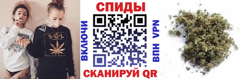 Бутират буратино  сколько стоит  Новороссийск 