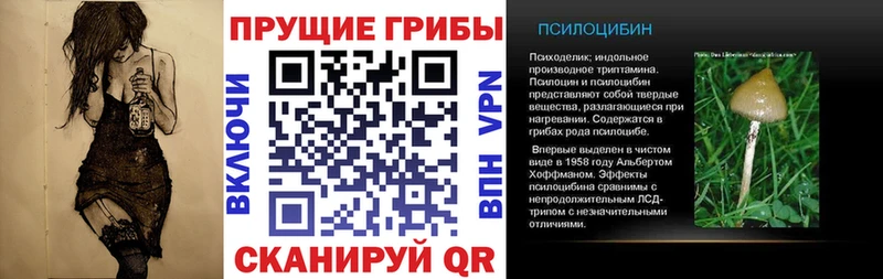 Галлюциногенные грибы MAGIC MUSHROOMS Новороссийск